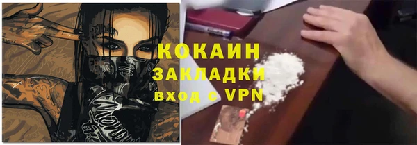 бошки Белокуриха