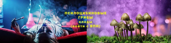 бошки Белокуриха