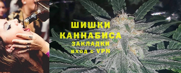 бошки Белокуриха