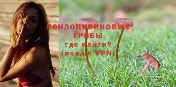 ешки Белоозёрский
