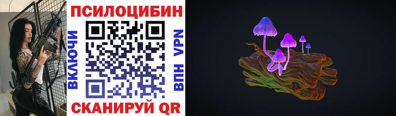купить наркотик  Красный Сулин  Галлюциногенные грибы Psilocybe 